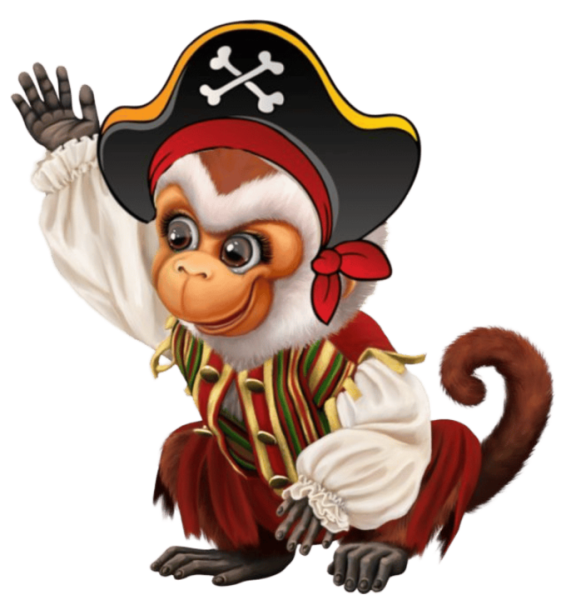 a talk like a pirate gift